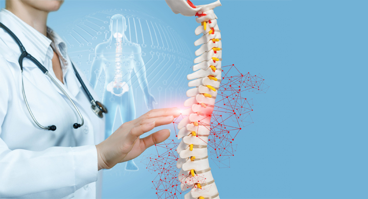 Closeup of Doctor Operating with Artificial Spine Model with Pelvis Unit of Human Skeleton, Digital Human Figure Background; the Concept of Spine Diseases Treatment