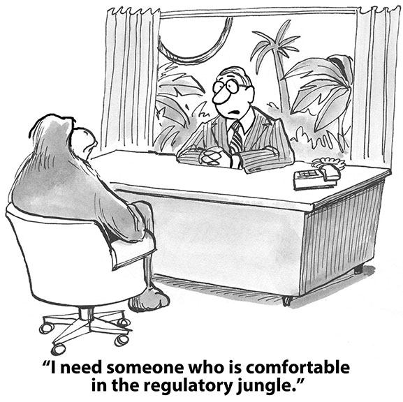 Political Cartoon with Job Interviewer Saying to Orangutan, "I need someone who is comfortable in the regulatory jungle"